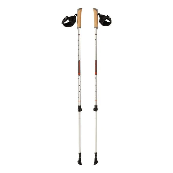 Bastoncino Ferrino Nordik Step-In Grigio Marrone 1 Bastoncino Ferrino Nordik Step-In Grigio Marrone